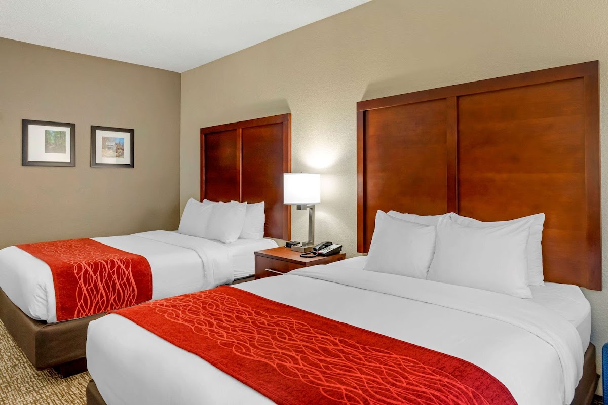 Comfort Inn & Suites Canton Riverstone Area Hotel 2