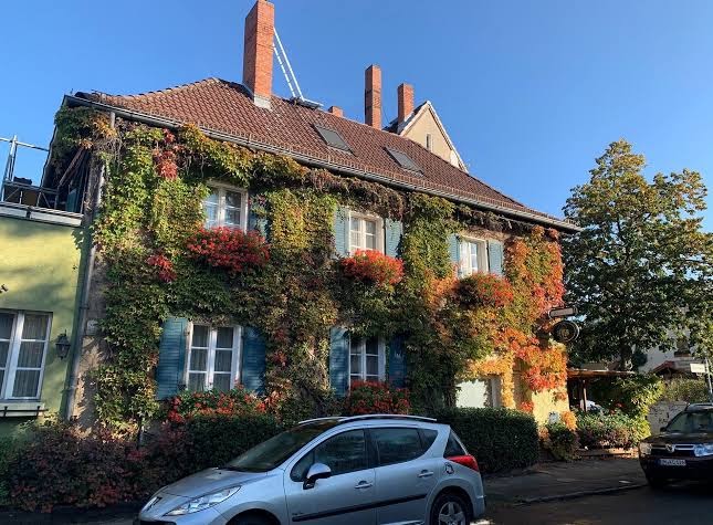 Landhotel Waldschänke Hotel 1