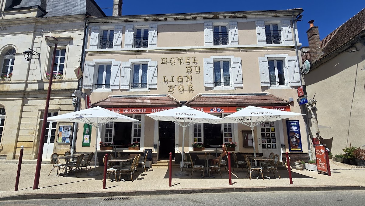 FASTHOTEL COULANGES SUR YONNE-Hôtel restaurant Lion d'Or