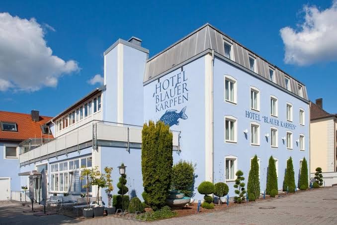 Blauer Karpfen