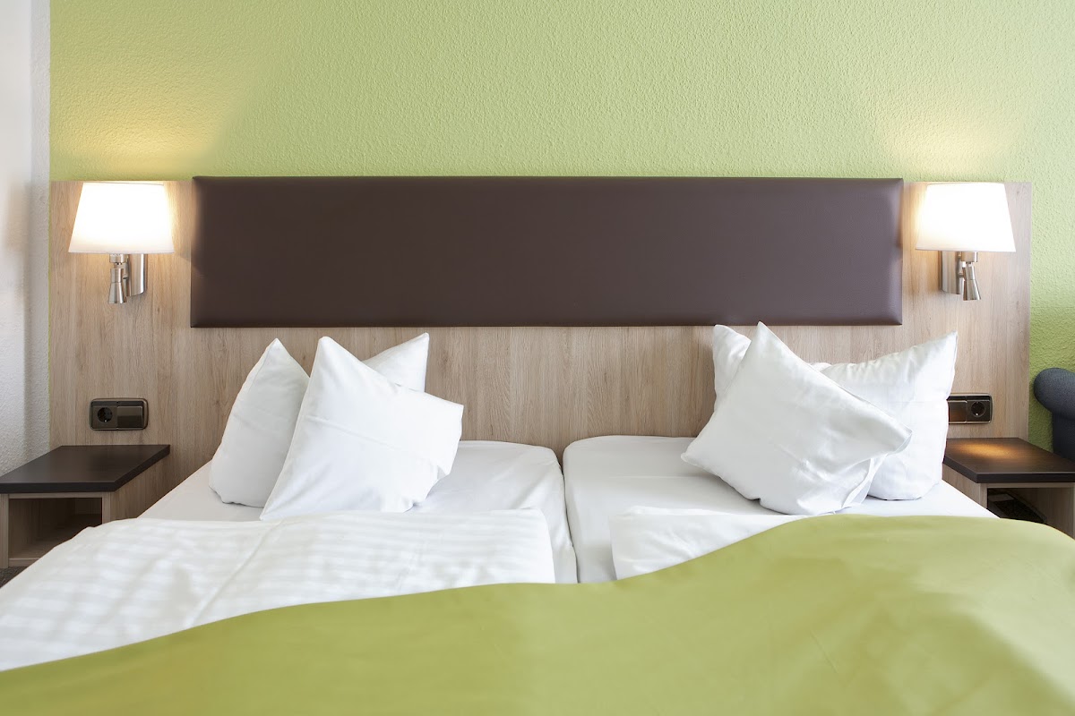 Blauer Karpfen Hotel 3