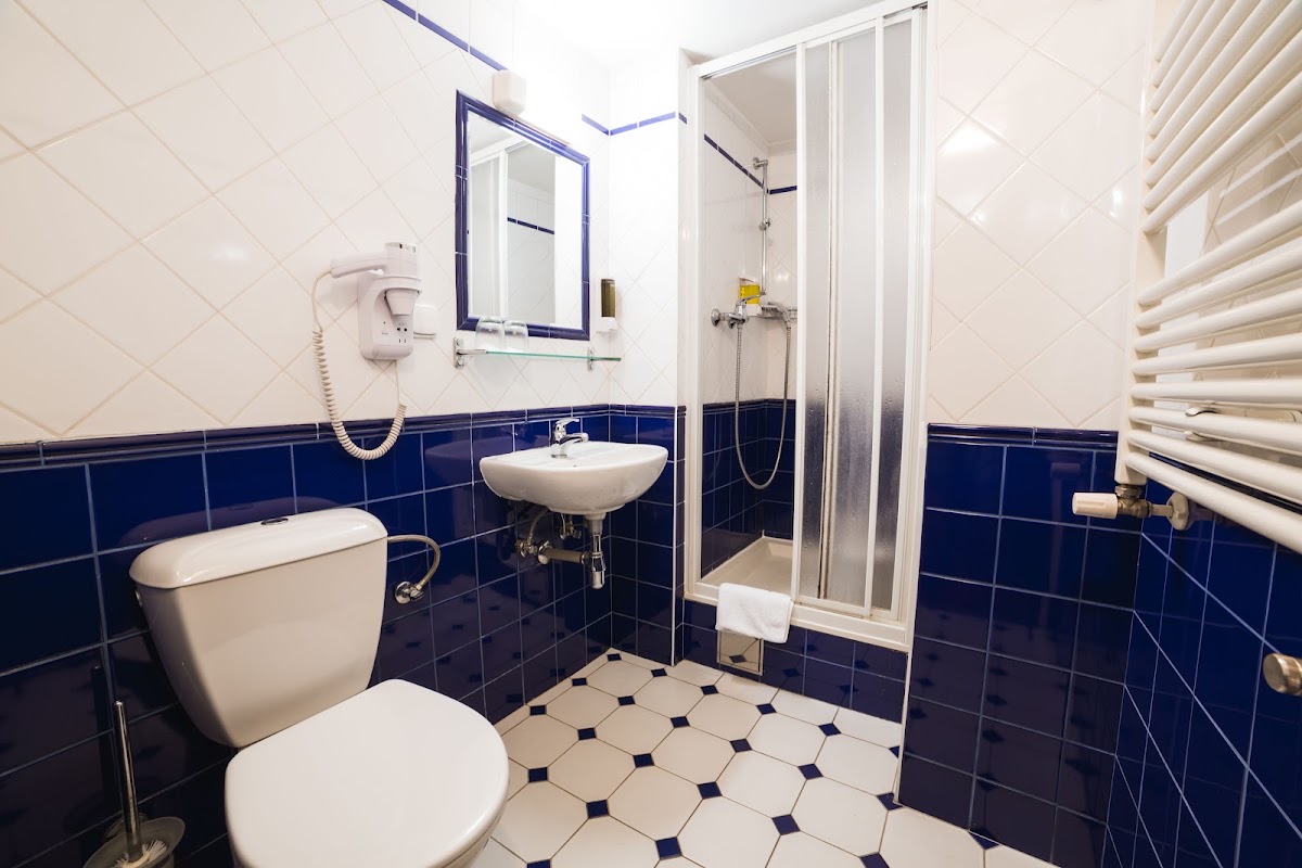 Hotel Dalimil Hotel 3