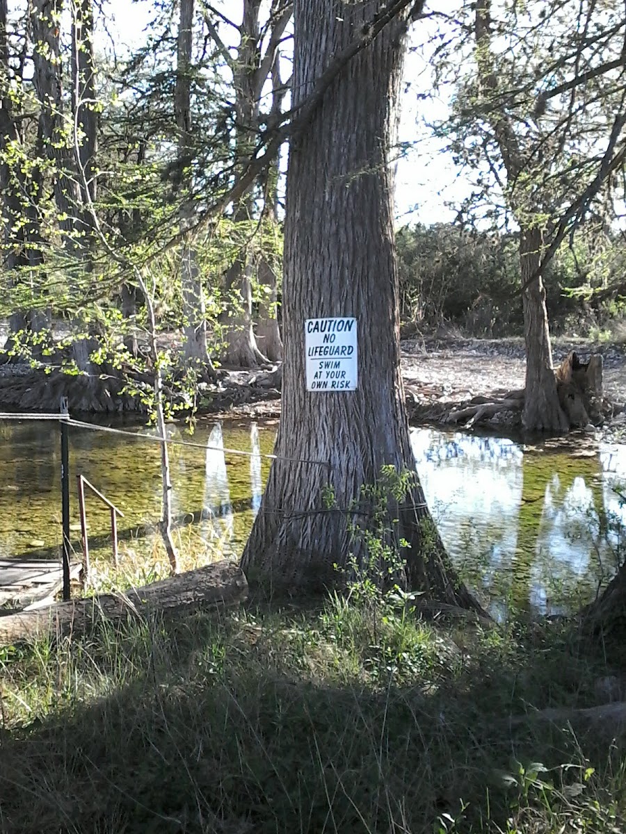 Camp Live Oak Hotel 3