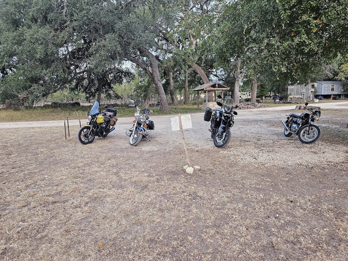 Camp Live Oak