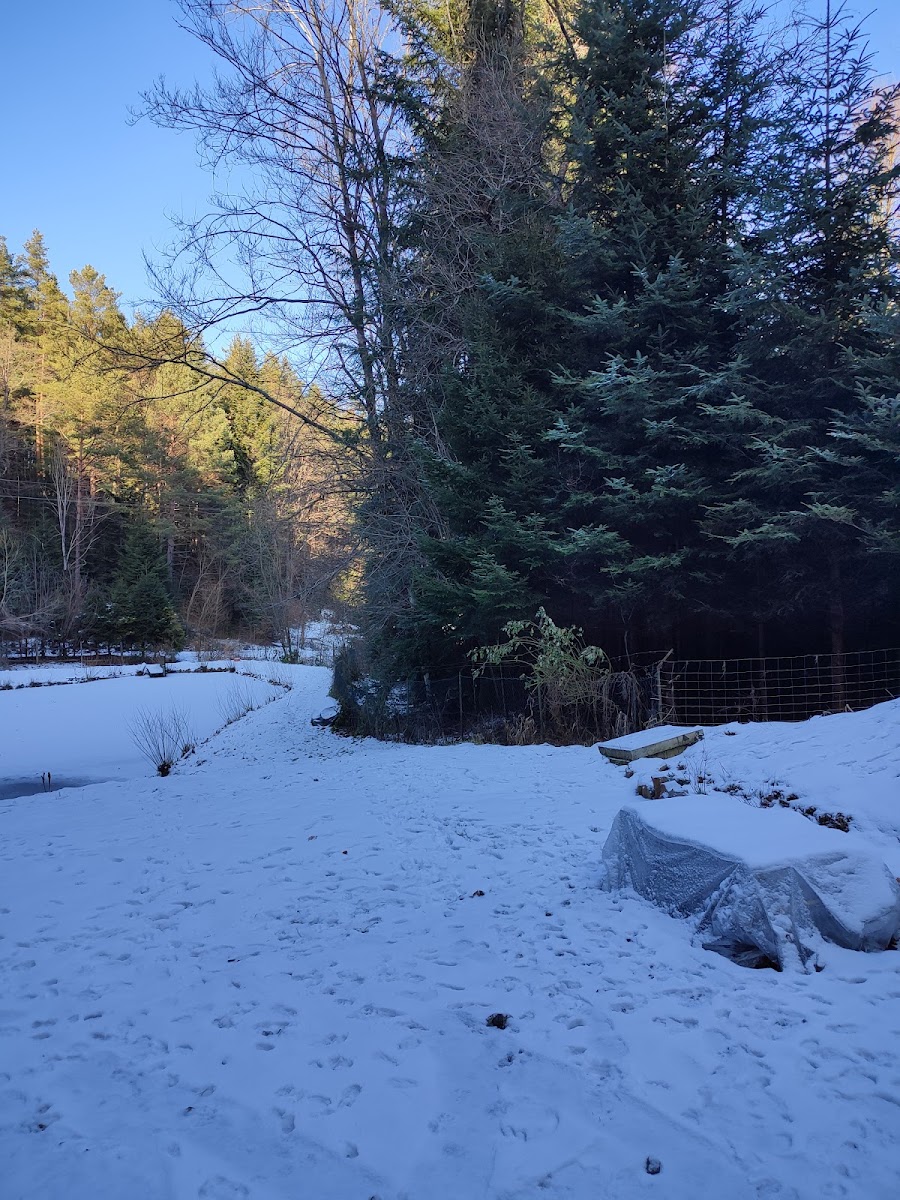 Over the Pond House - Bieszczady Hotel 3