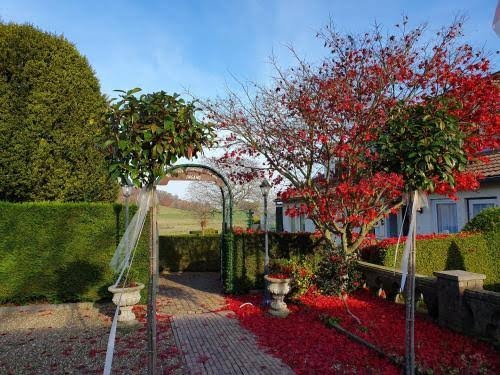 B&B Appartementen Vouwere Hotel 3