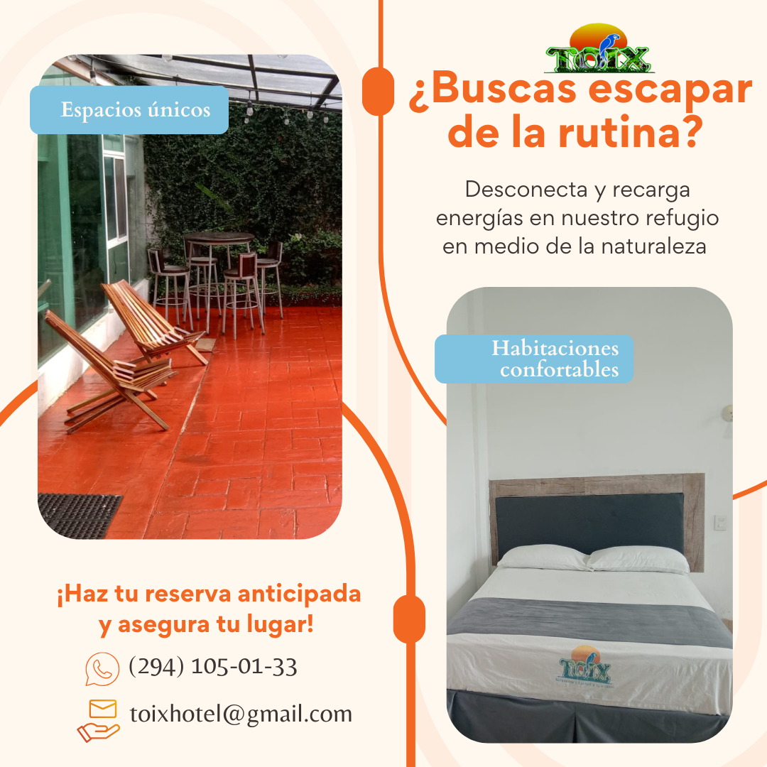 TOIX Hotel Hotel 2