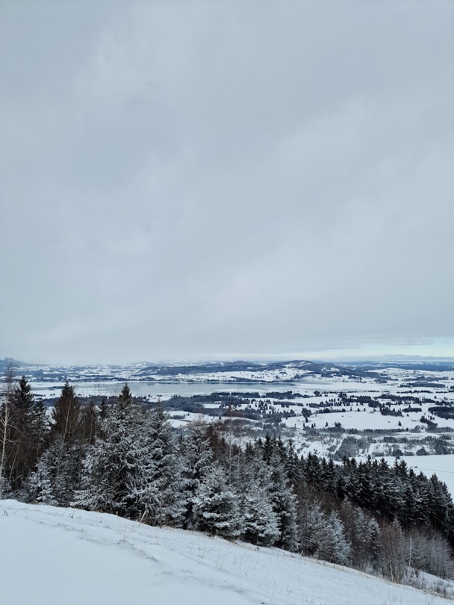Buchenberg Buching