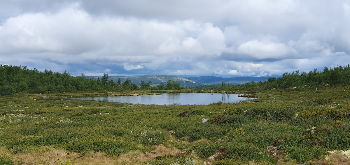 Hakkesetstølen Fjellstugu og Hytter Hotel 3
