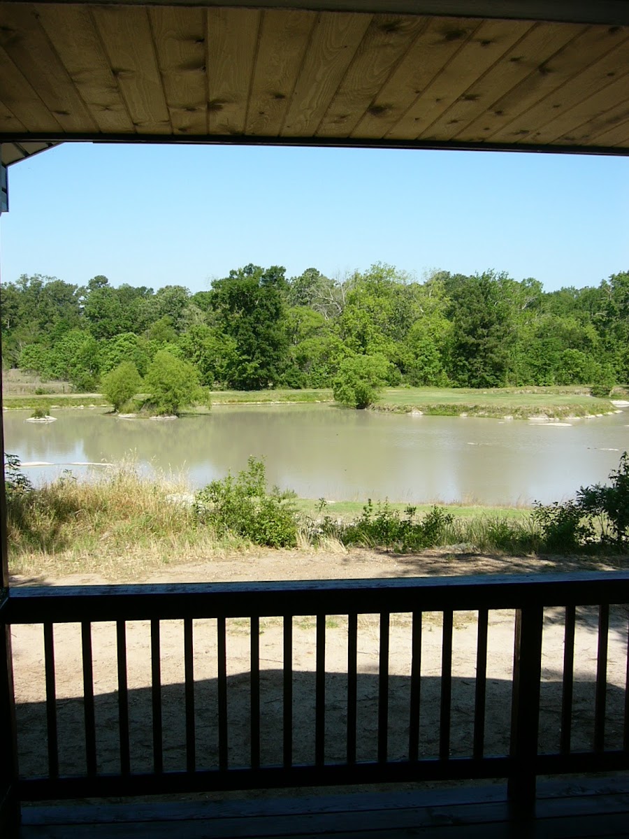 Catfish Cabins