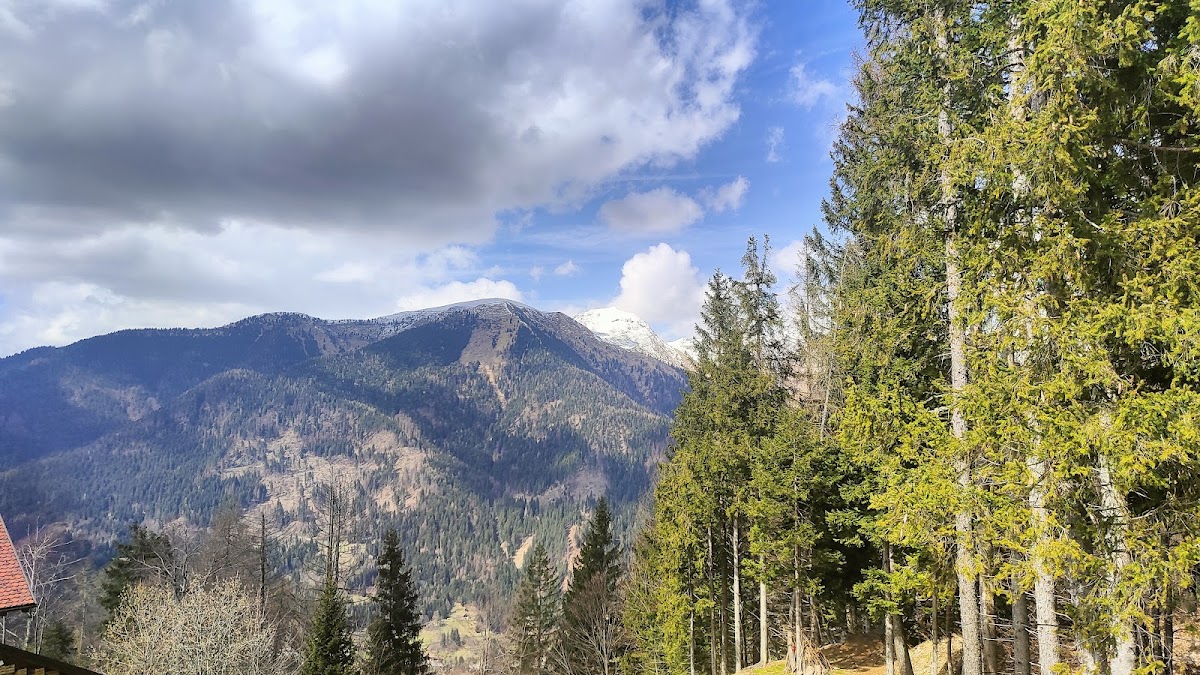 Monte Zoncolan Sutrio