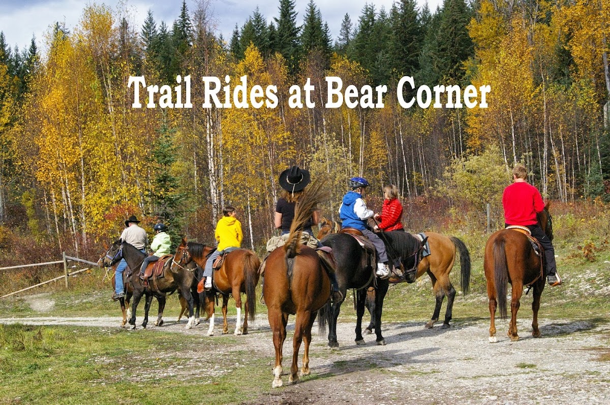 Bear Corner Adventures Bed & Bale Hotel 1