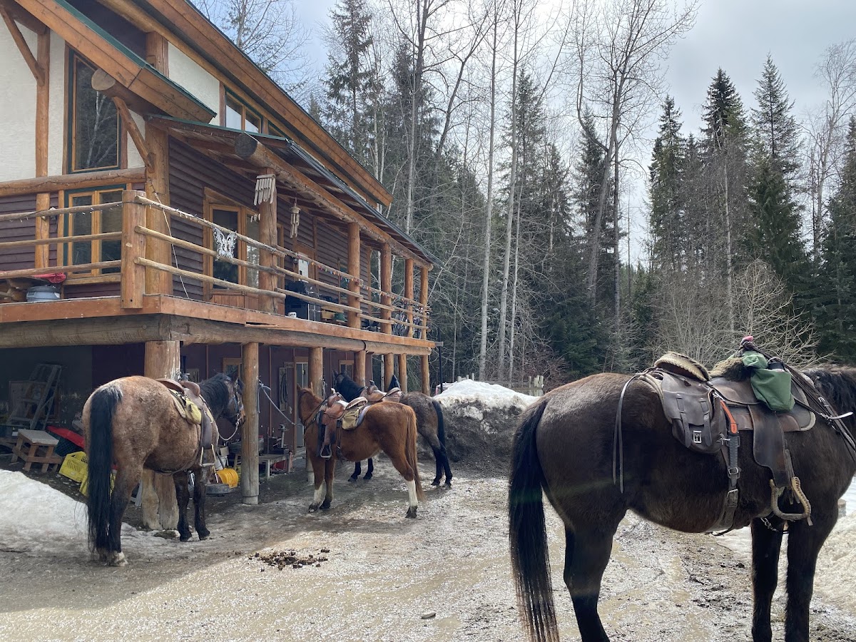Bear Corner Adventures Bed & Bale Hotel 3
