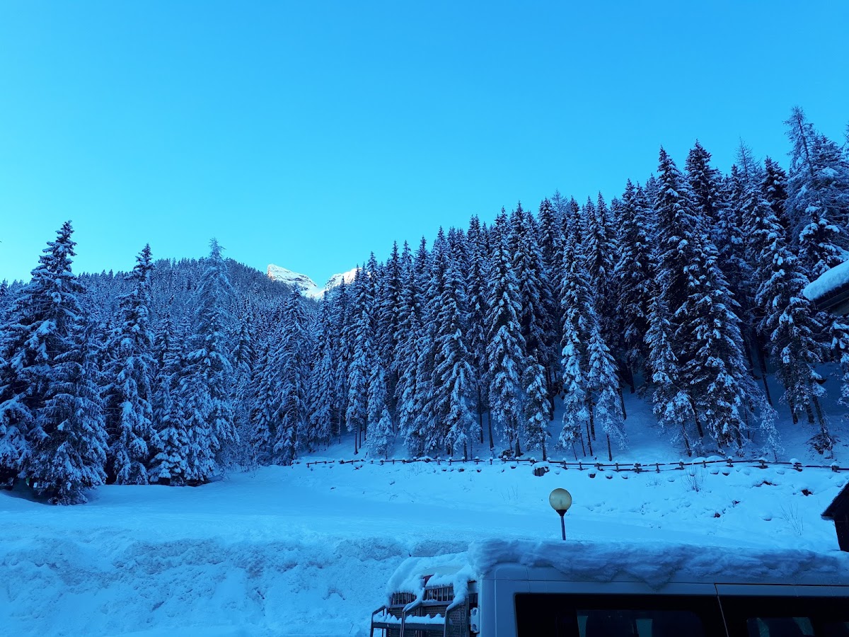 Residence Villa Avisio Hotel 3