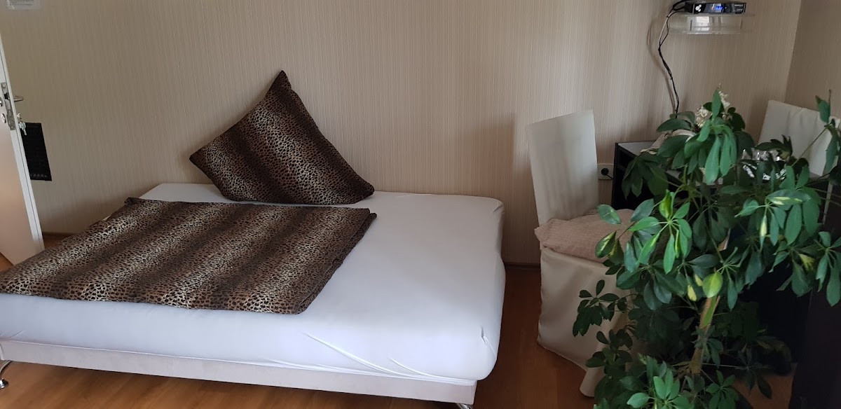 Guesthouse Casa Luminita Hotel 2