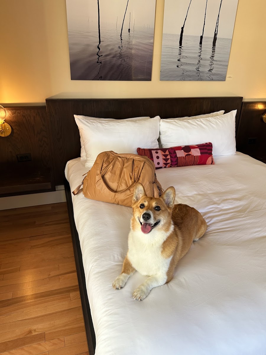 The Francis Hotel