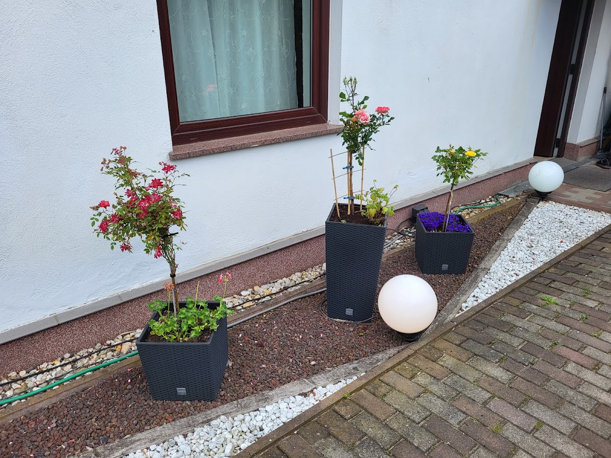 Pension Wolfen 'FUHNERUH' Monteurszimmer Bitterfeld Wolfen
