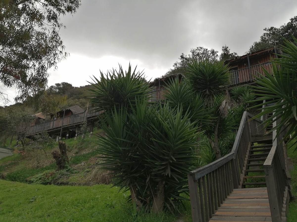 Rincon Tropical Resort Hotel 3