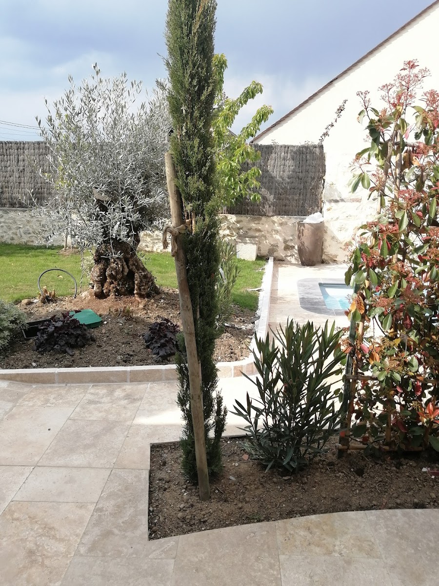GÎTE A MAINCY 'Arbre Or & Sens'