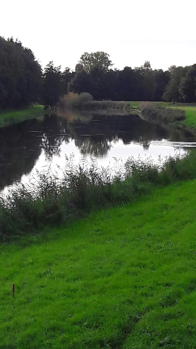Vechtetal Garten