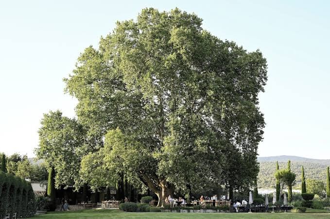 Domaine Des Andéols Hotel 3