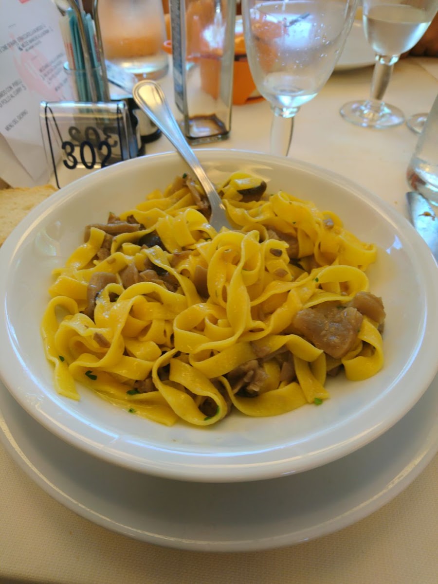Hotel Bologna Misano