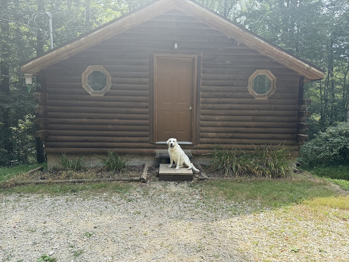 Deer Watch Cabins Hotel 3