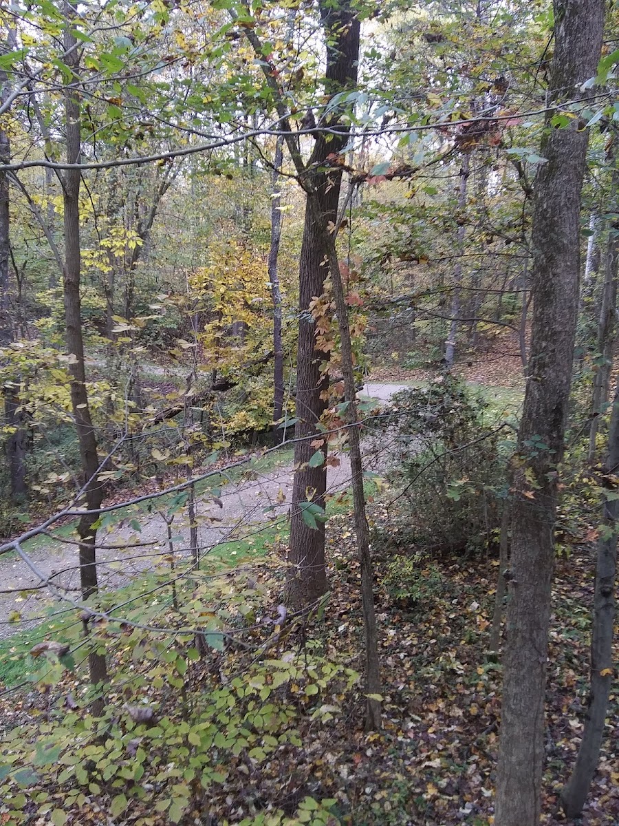Deer Watch Cabins