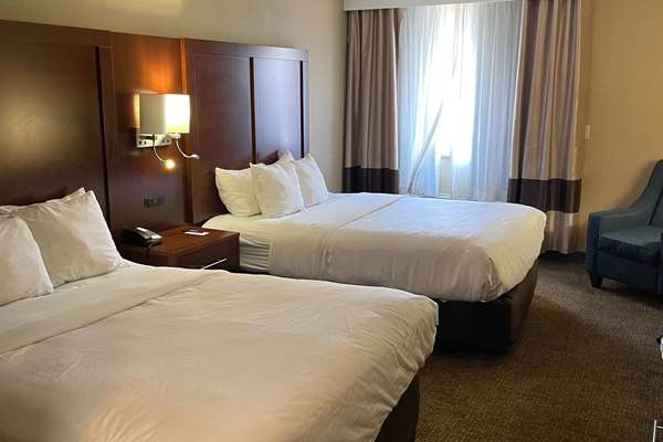 Comfort Inn Indianapolis South I-65 Hotel 3