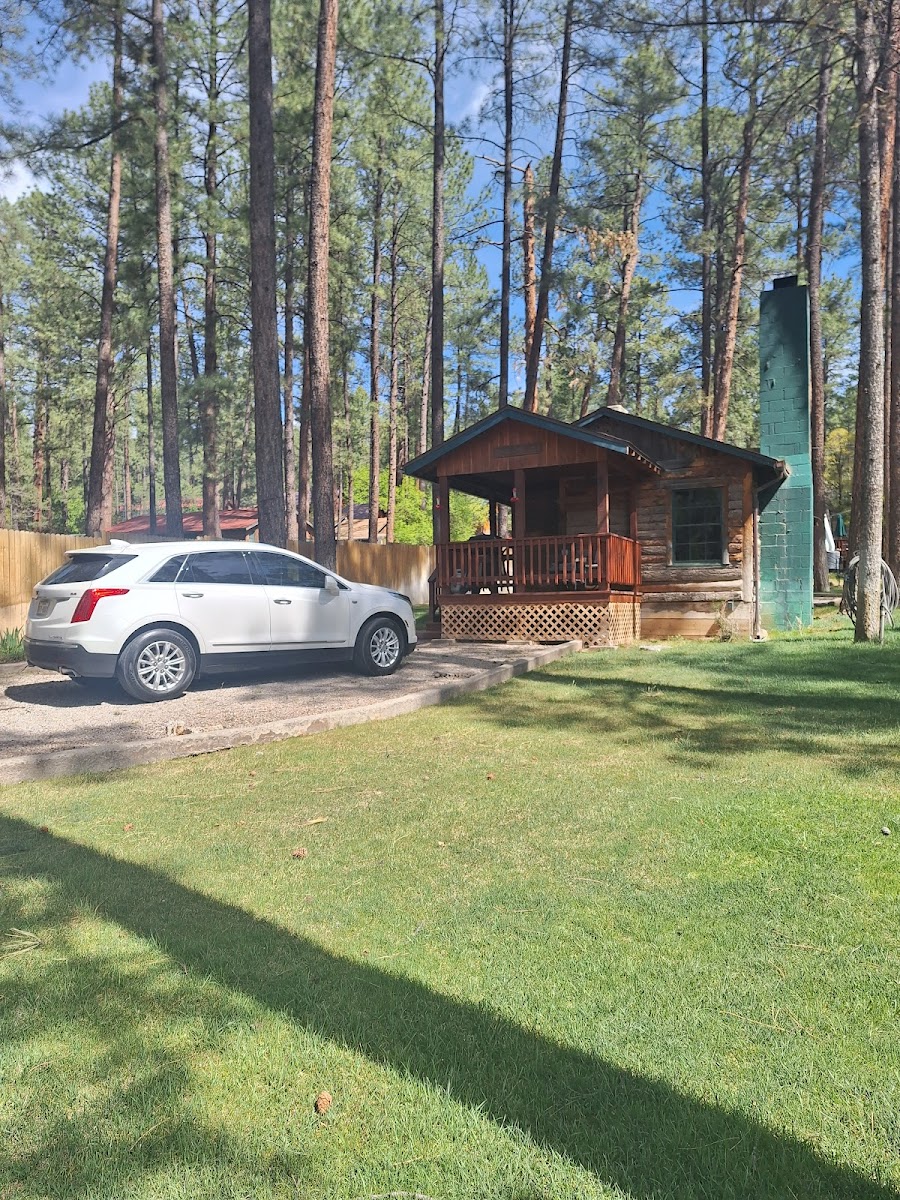 Forest Home Cabins