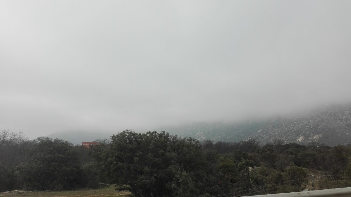 Picó de la Miel S A