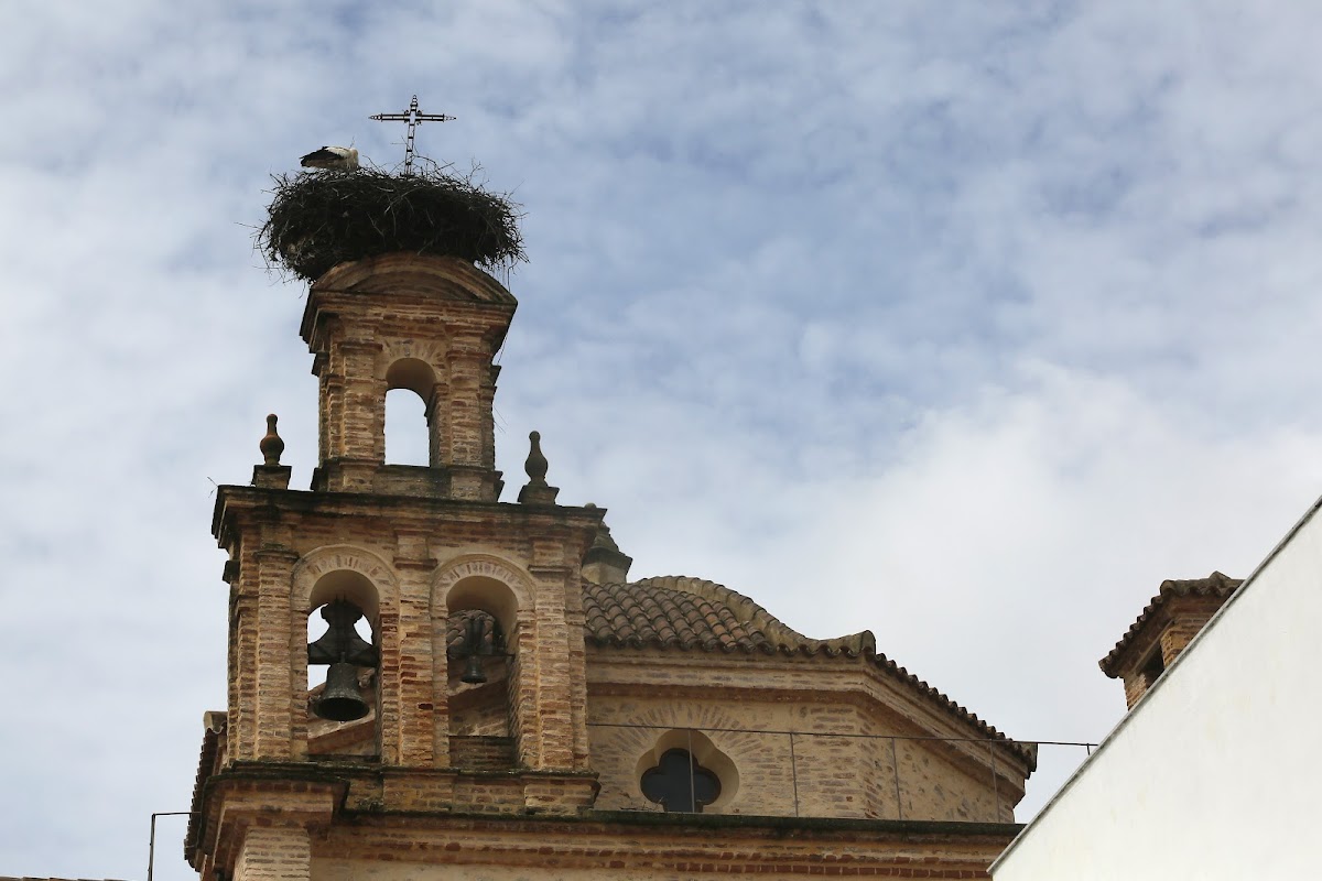 Hotel Convento Aracena & SPA Hotel 3