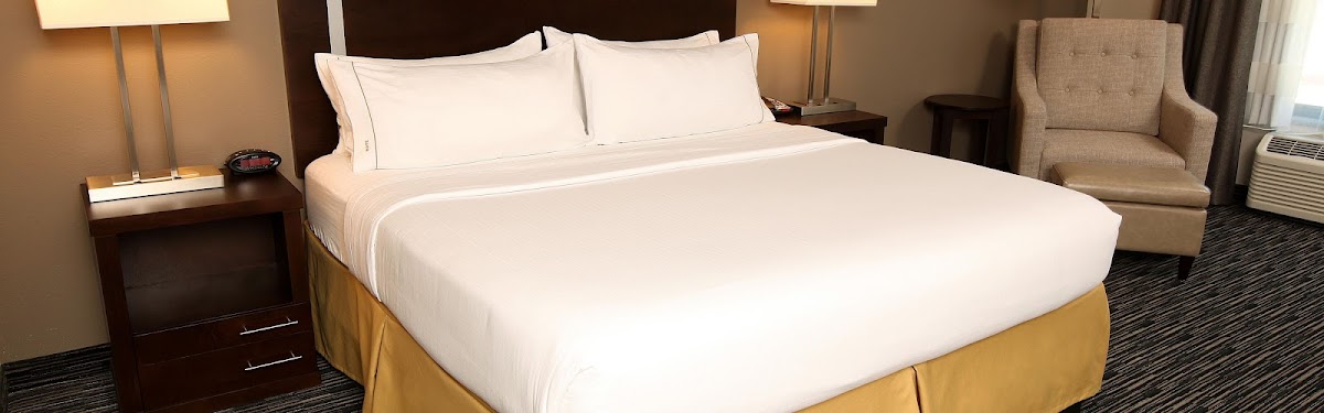 Holiday Inn Express & Suites Omaha South - Ralston Arena by IHG Hotel 2