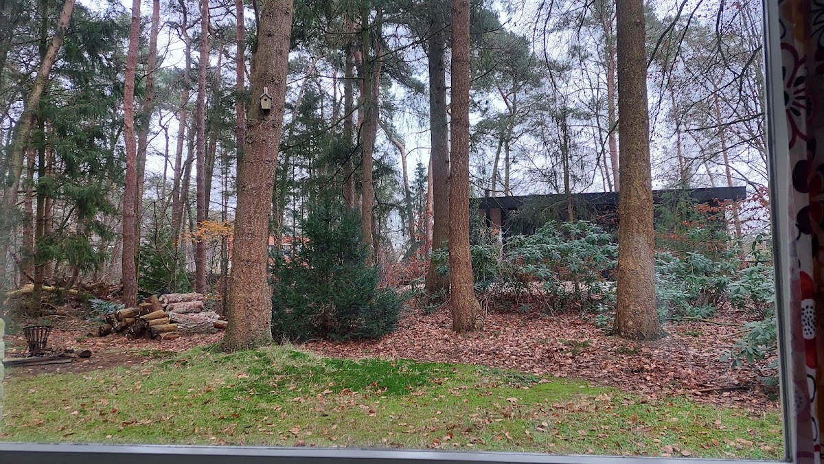 The small cottage on the Veluwe Hotel 2
