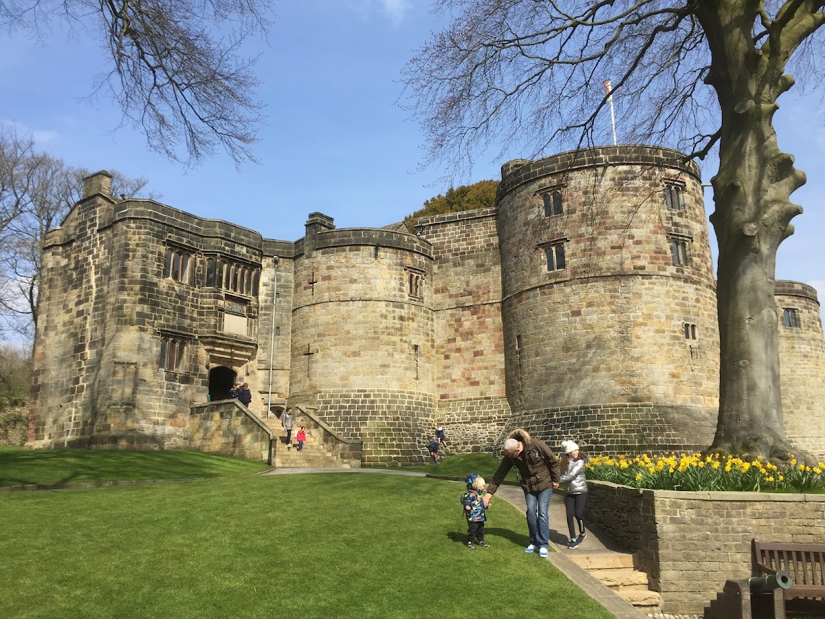 The Pinfold