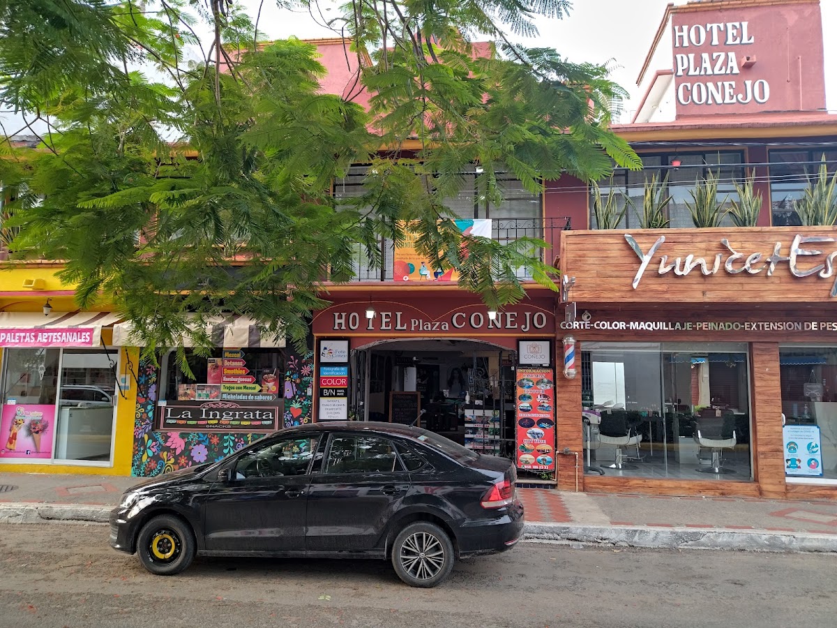 Hotel Plaza Conejo
