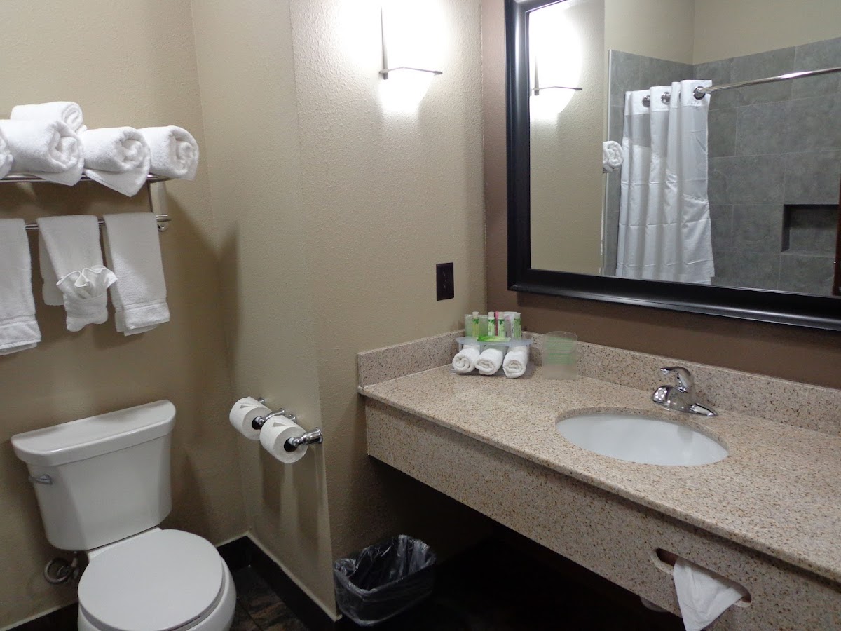 Holiday Inn Express & Suites Lubbock South by IHG Hotel 3