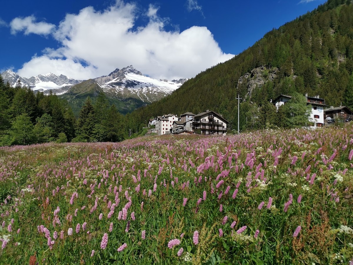 Albergo Chiareggio Hotel 3