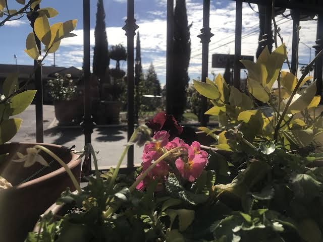 Chardonnay Lodge Hotel 3