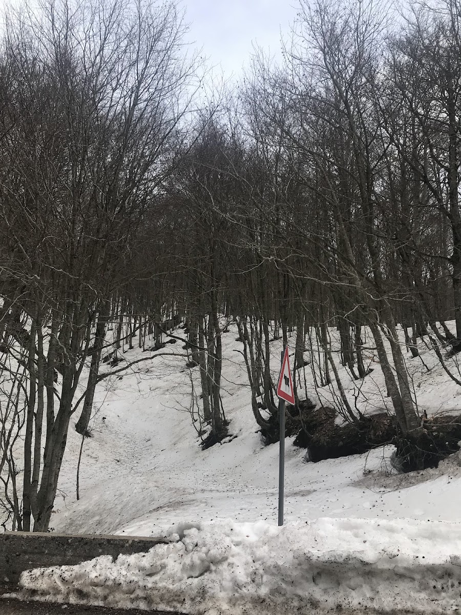 Bocca della Selva Sci Ski Impianto Risalita Skilift Hotel 3