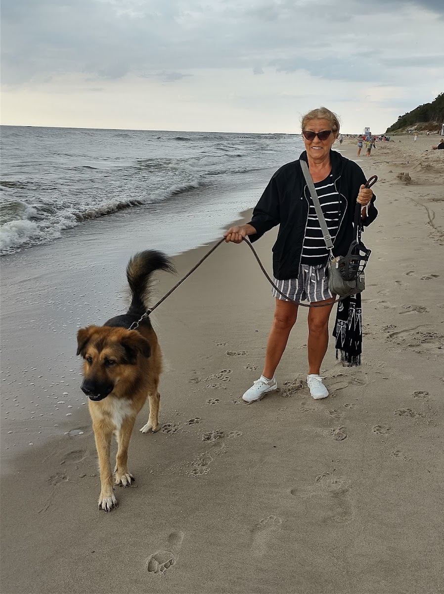 Baltic Kids