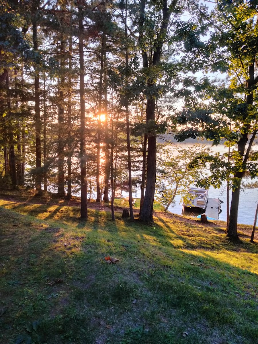 Jackson's Lakeside Cottages Hotel 3