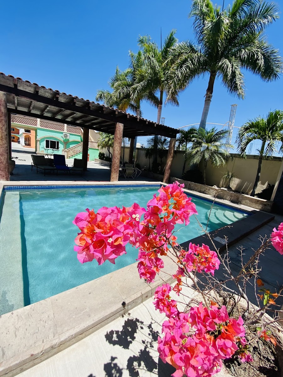 Hotel Cactus Inn Los Cabos