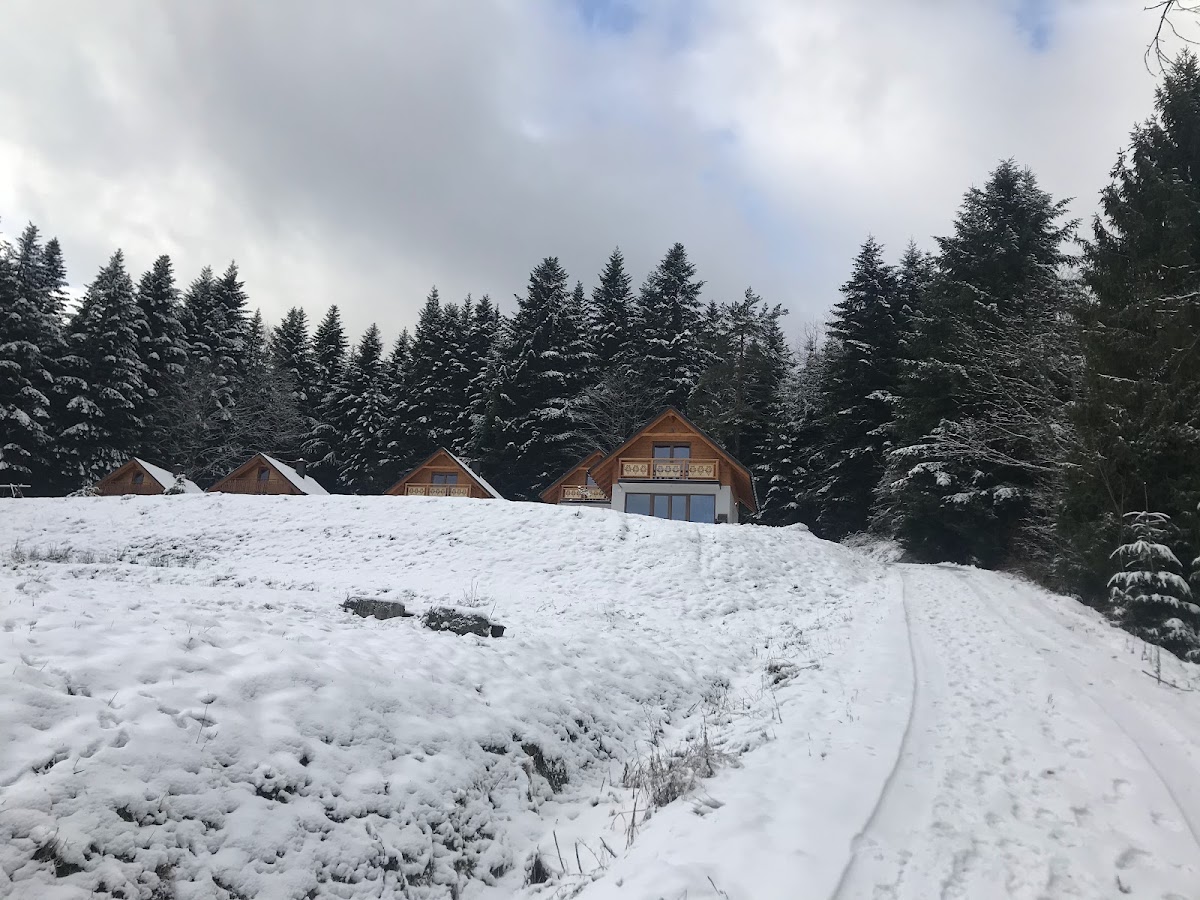 Domki w Kasinie Hotel 3