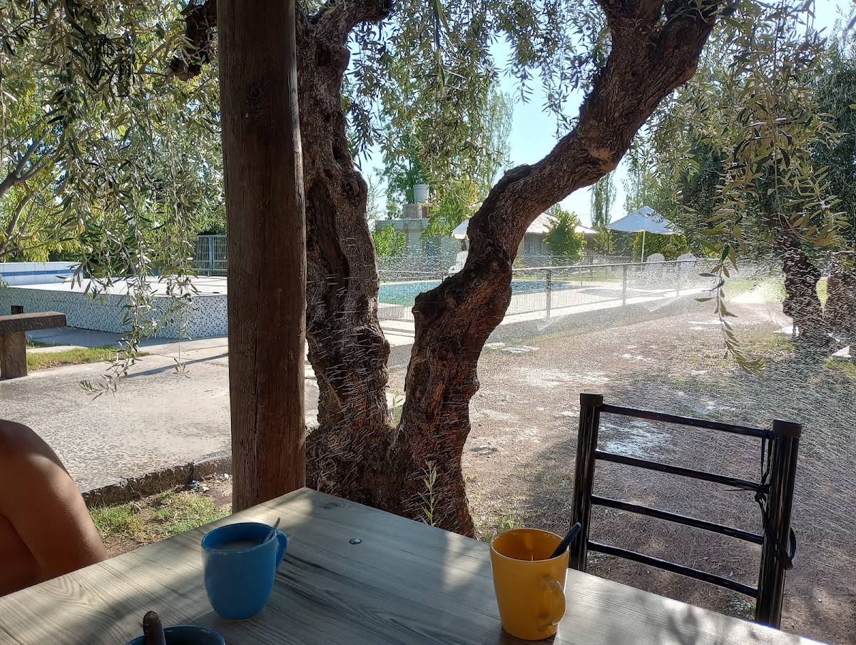 Cabañas Terra Olivo Hotel 3