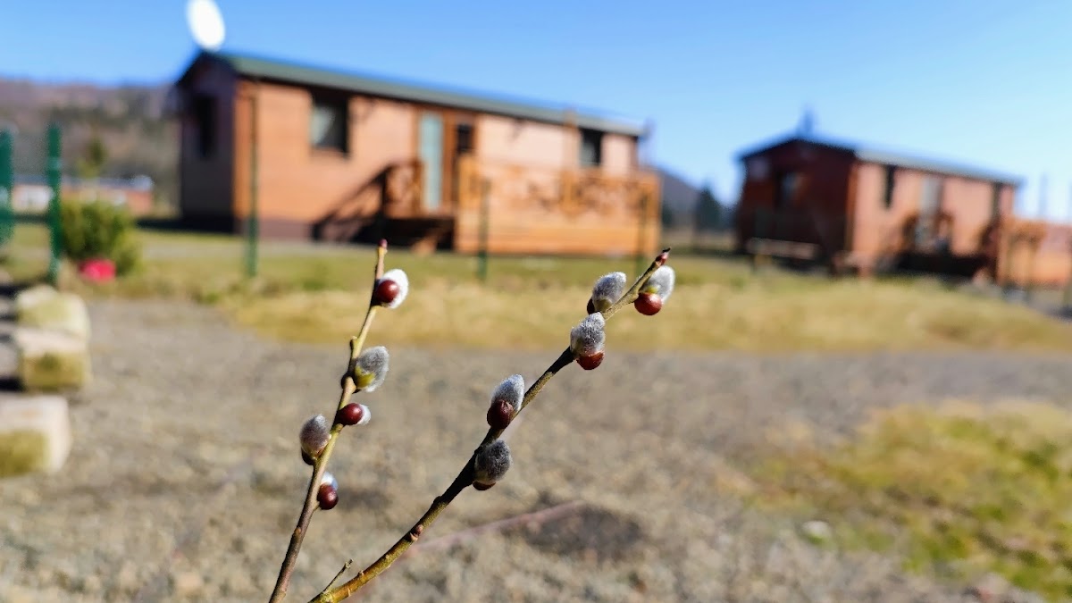 Modraszkowe Domki Hotel 3