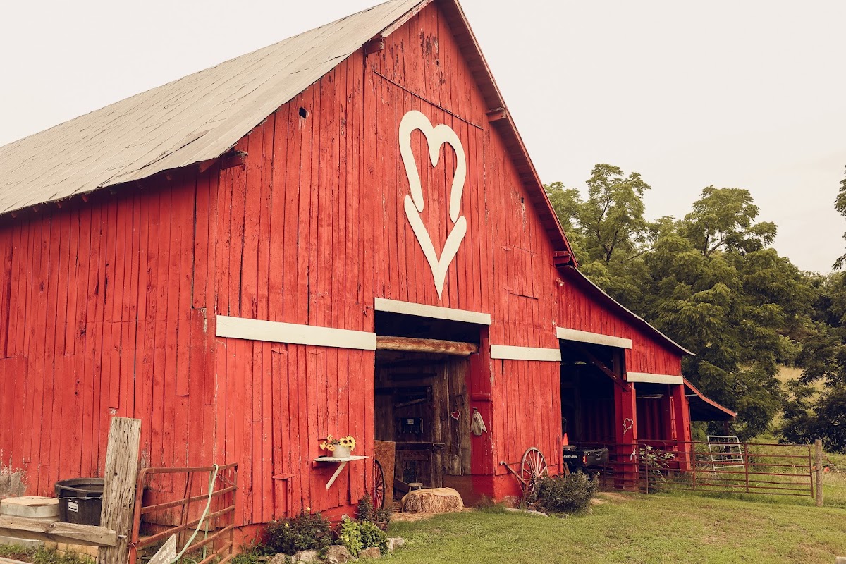 Meredith Valley Farm and Cabins