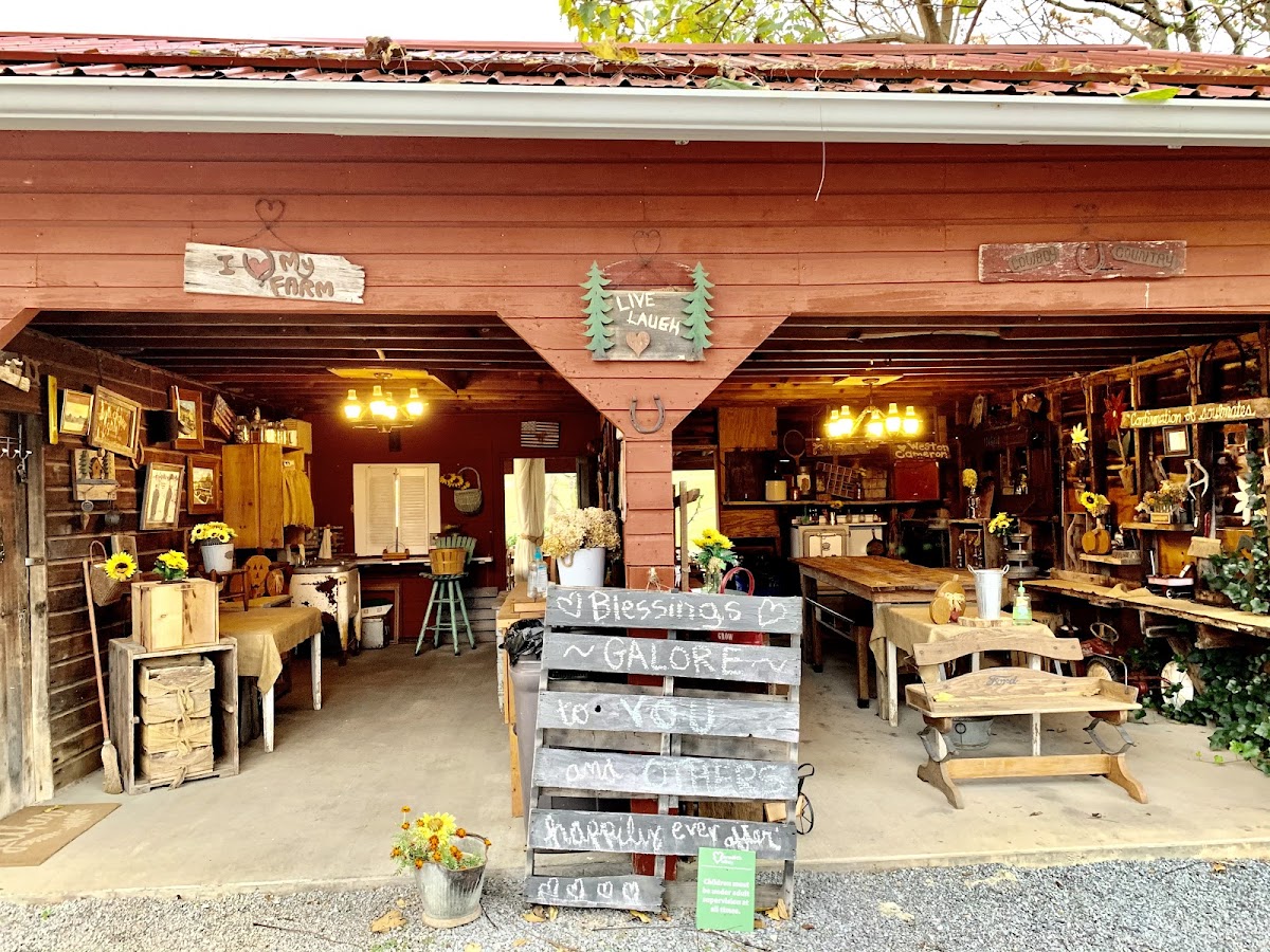 Meredith Valley Farm and Cabins Hotel 3