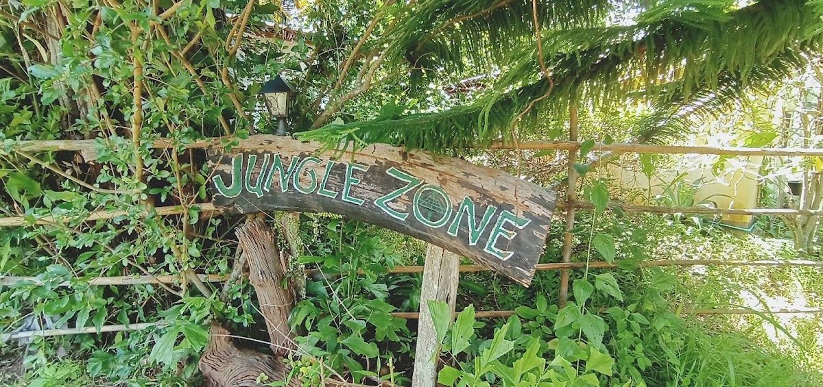 JUNGLE ZONE PAI