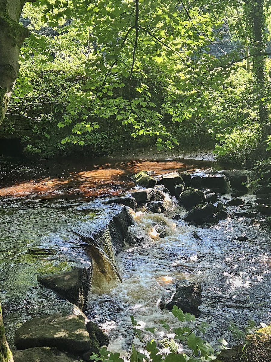 The Rivelin Inn Hotel 3